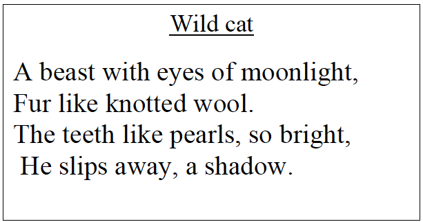 Wild Cat' - Analysing Metaphors and Similes - Senura Writes About All Sorts.
